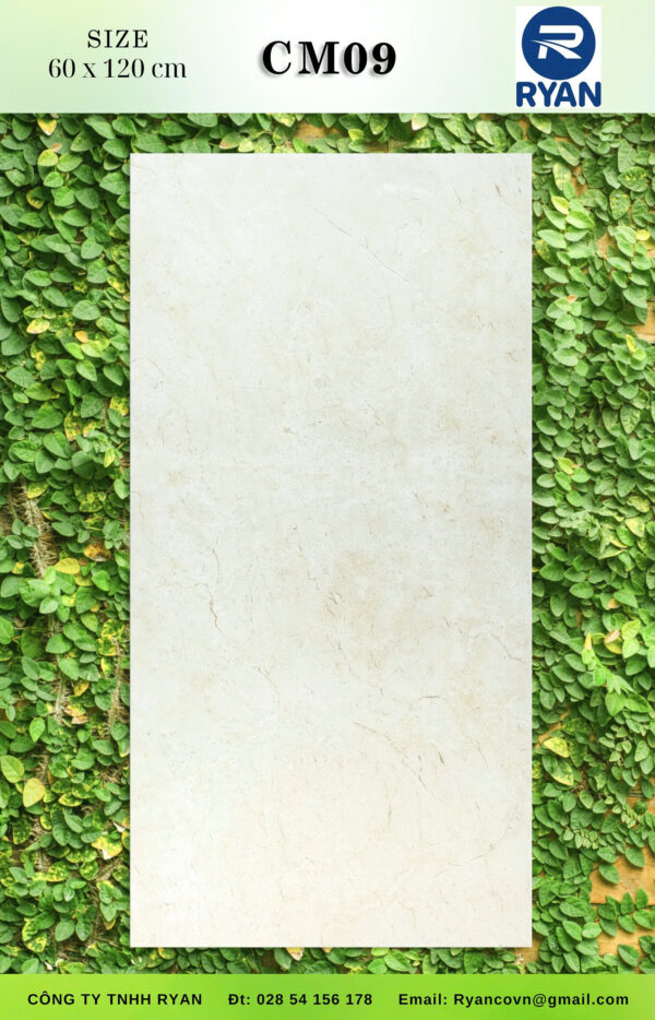 Ngói nhật Eishiro LL40 Matte Brown