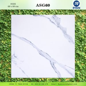 ASG 60
