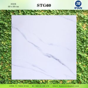 STG 60